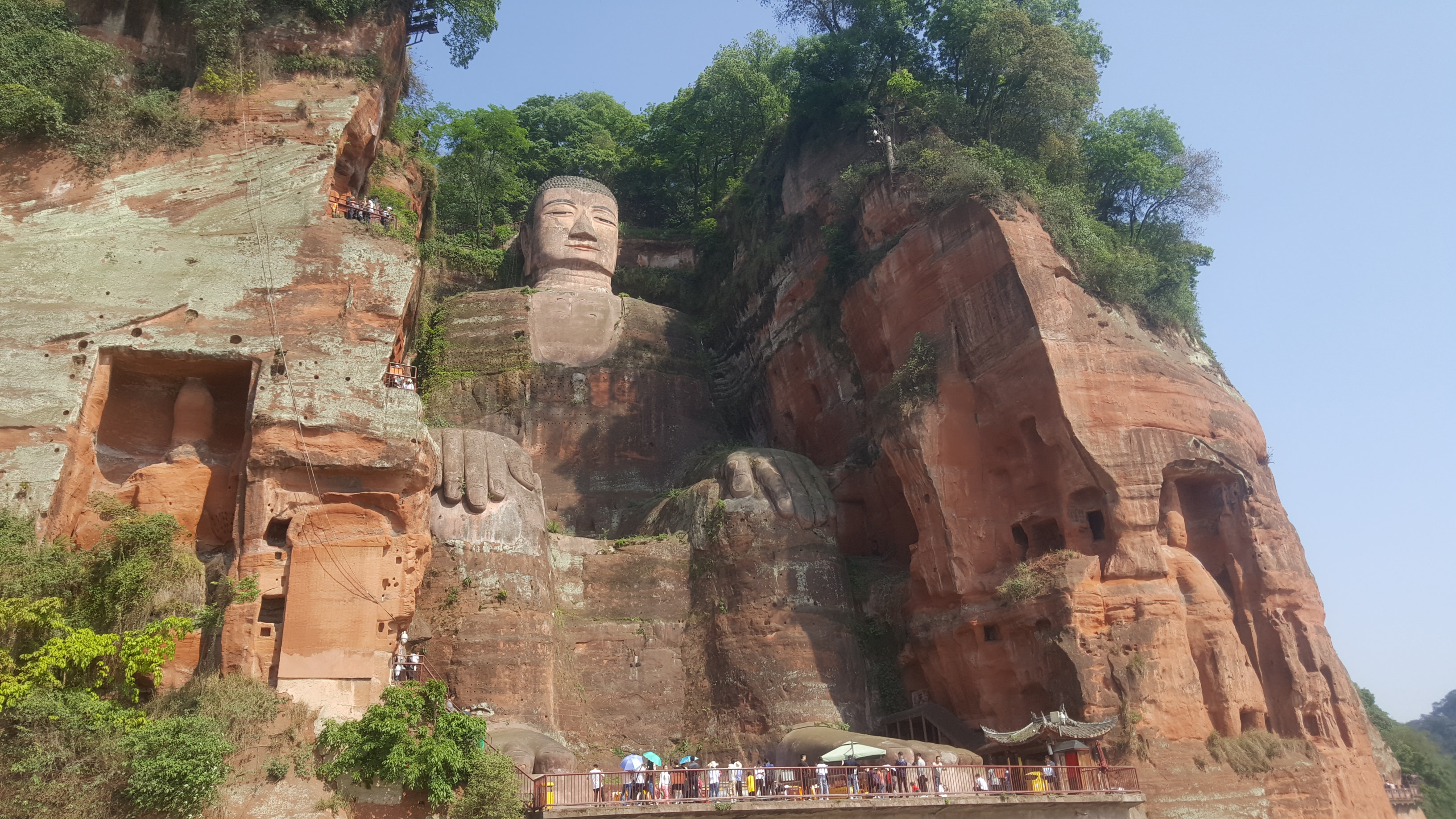 Giant Panda, Giant Buddha, Mount Emei, Kungfu & Tea Plantation 3 Days Experience